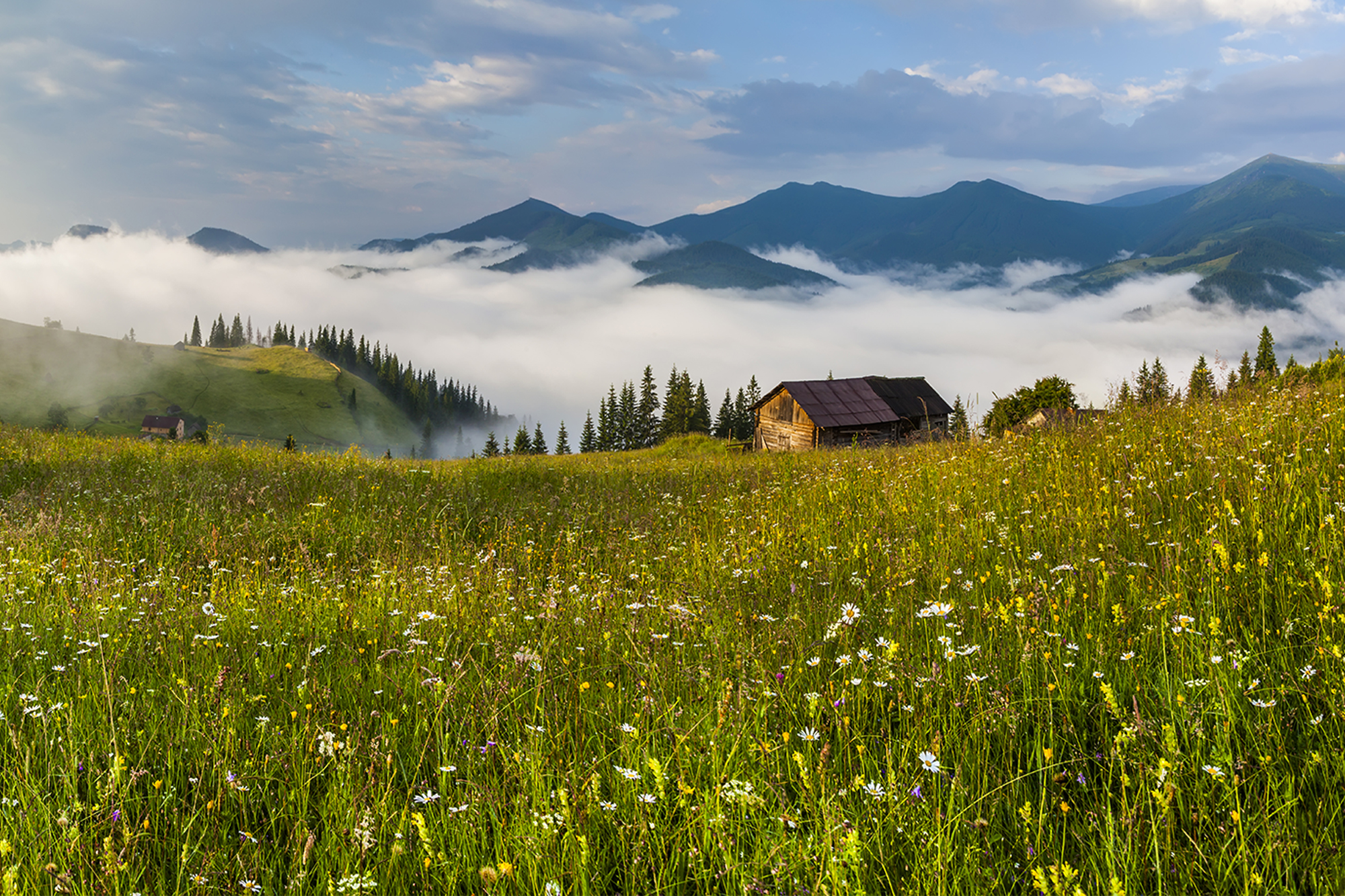 Де та як у Карпатах навесні знайти справжній релакс за копійки: перевірені лайфхаки